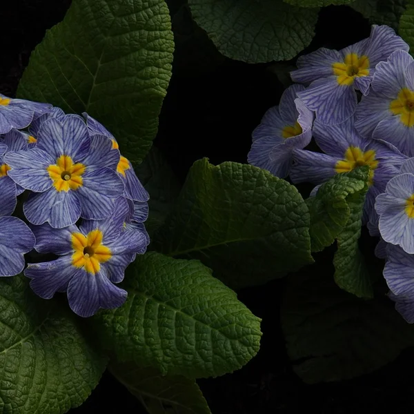 c7娱乐百家乐游戏